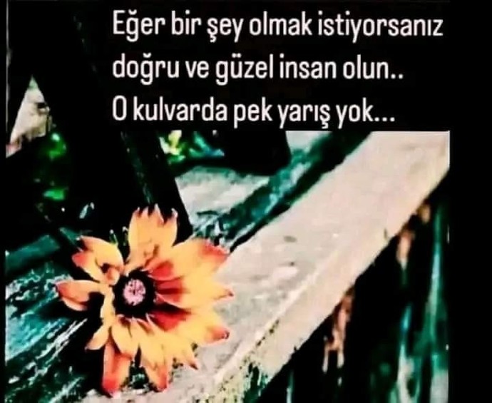 NE olmak istiyorsunuz?