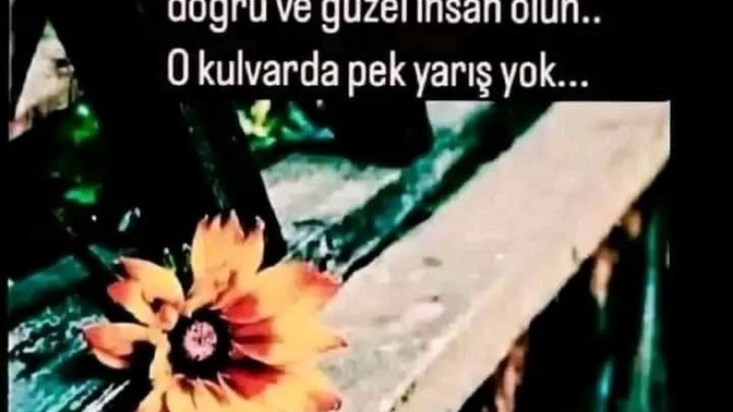 NE olmak istiyorsunuz?