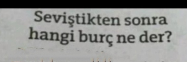 Sayın KS üyeleri seviştikten sonra hangi burç ne der size söyliyim mi?