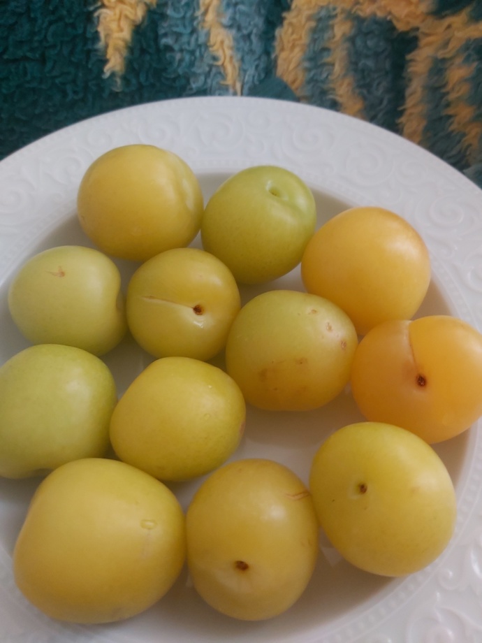 Ekşi erik mi, tatlı erik mi seversiniz?