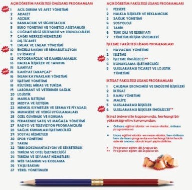 2. Üniversite olarak hangi bölümü önerirsiniz?