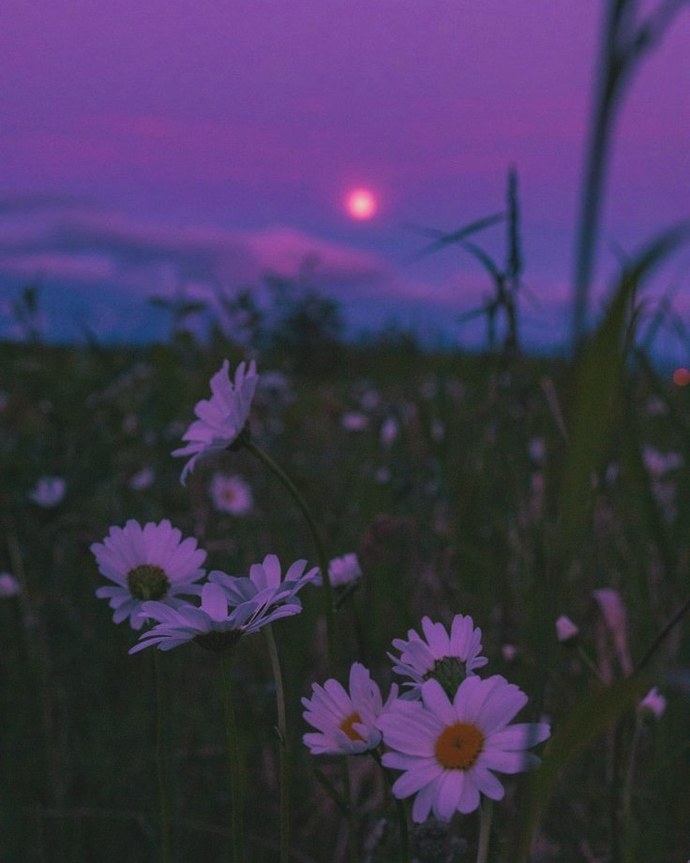 En sevdiğiniz aktiviteler nelerdir ✨🌄?