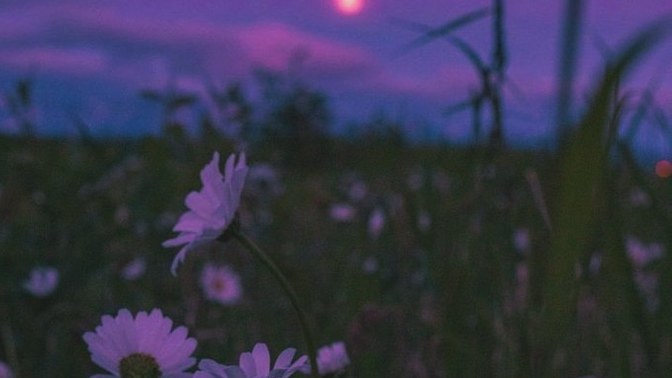 En sevdiğiniz aktiviteler nelerdir ✨🌄?