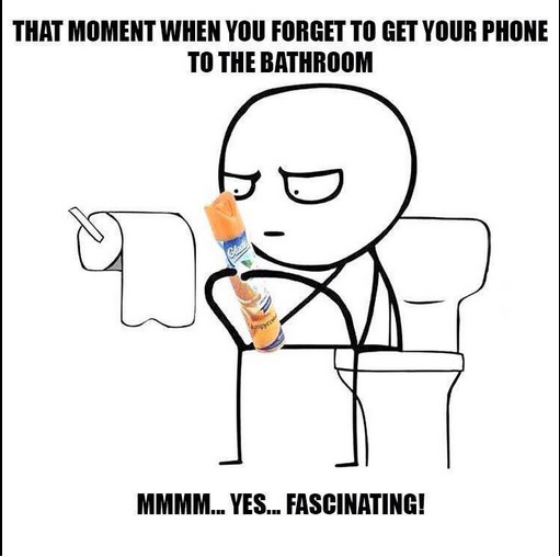 Tuvalete telefonunuzu goturur musunuz?