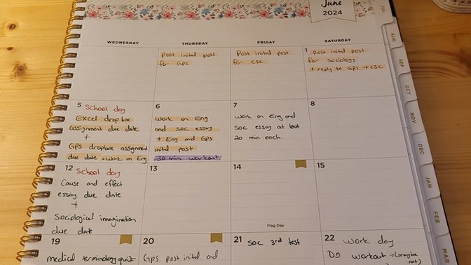 Akademik veya gunluk hayat icin planlayici kullaniyor musunuz?