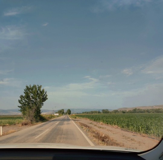 Uzun yol sever misiniz?