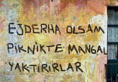 Hangi hayvanın hangi özelliğini taşımak isterdin?