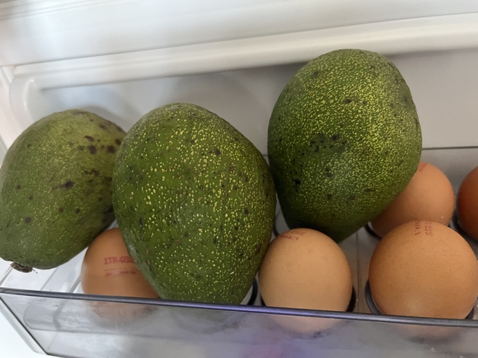 Yumurtalığa limon yerine avokado koydum Türk buzdolabı kültüründen çıkmış mıyımdır?