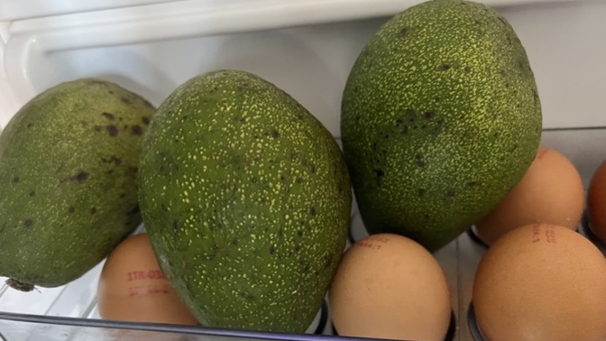 Yumurtalığa limon yerine avokado koydum Türk buzdolabı kültüründen çıkmış mıyımdır?