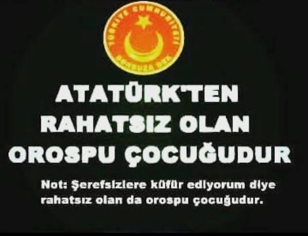 Atatürk Sevmeyen Türk'ün Türklüğünden Şüphe Eder Misiniz?