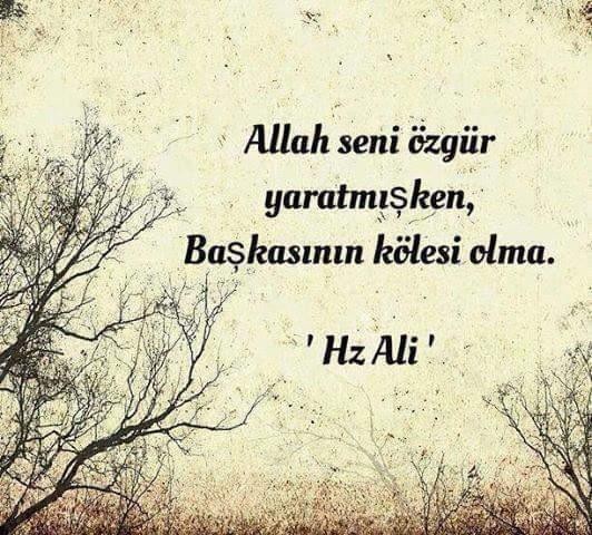 Asi ruhlu olmak başarı getirir mi?