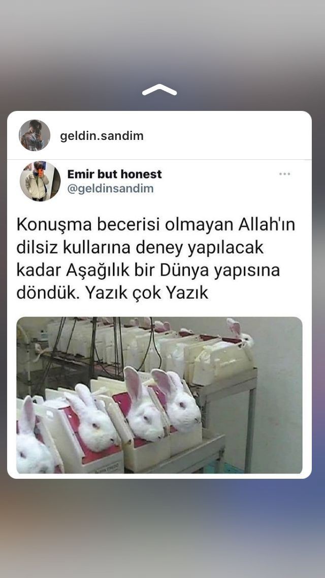 Geceye bir görsel yahut bir şarkı bırakır mısınız?