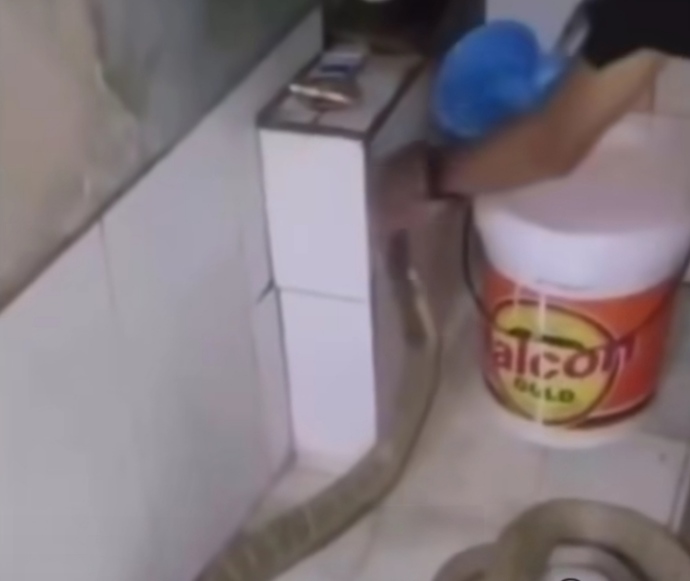 Günaydın! Pazar gününüz nasıl başladı, neler yapıyorsunuz?
