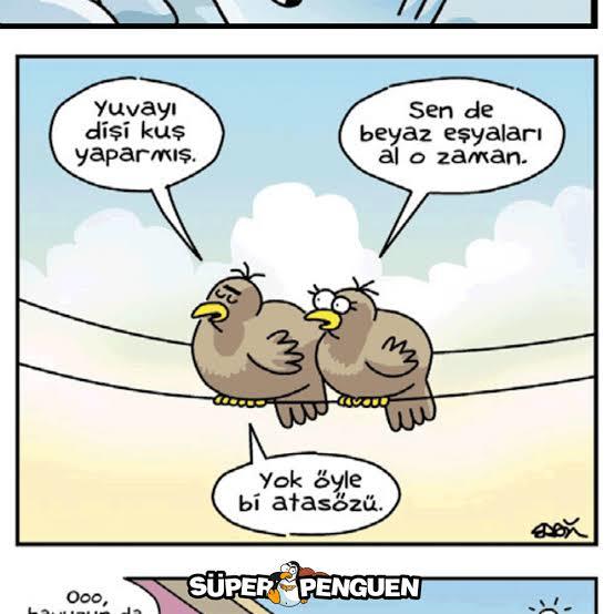Yuvayı bu zamanda hâlâ dişi kuşlar mı yapar?