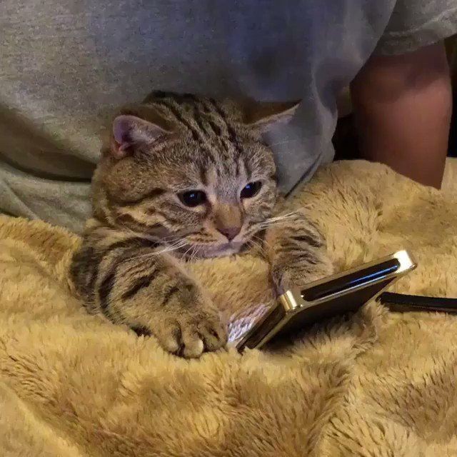 Mesaj atmasını istediğiniz birisi var mı?