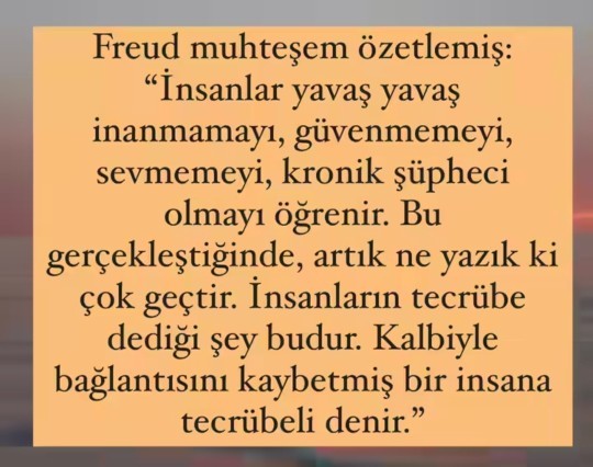 Siz tecrübeli misiniz?