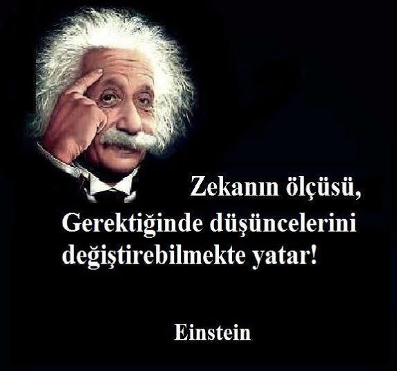 Zeka doğuştan mı gelir yoksa çaba ile mi kazanılır?