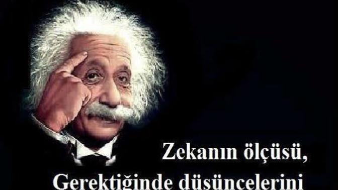 Zeka doğuştan mı gelir yoksa çaba ile mi kazanılır?