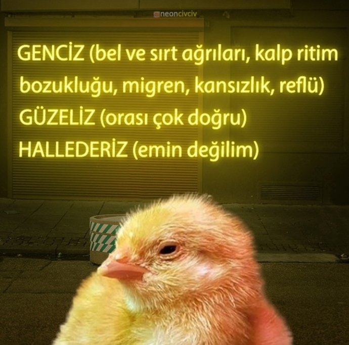 Genciz, güzeliz ve halleder miyiz?
