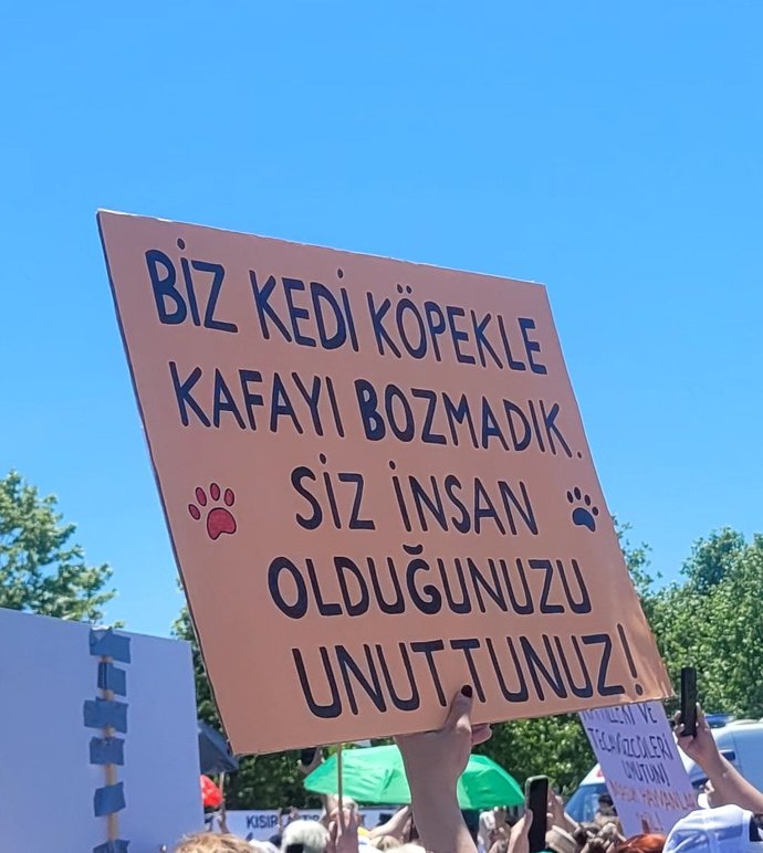 #nirhamm 🔴 🔴 🔴 🔴