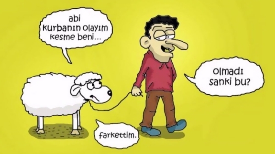 Kurban bayramında ne yapmayı düşünüyorsunuz?