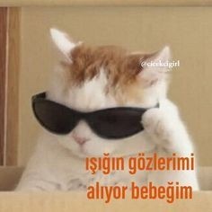 Tünaydın aşklarımm özellikle yakışıklı erkekler sizi çok seviyorum nasılsınız?