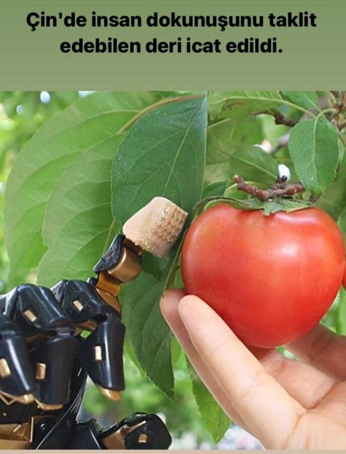 Bakkal amca, bakkal amca, yapay zeka var mı, robotun var mı, ten dokusu var mı, ne duruyorsun insan yapsana insan yapsana?