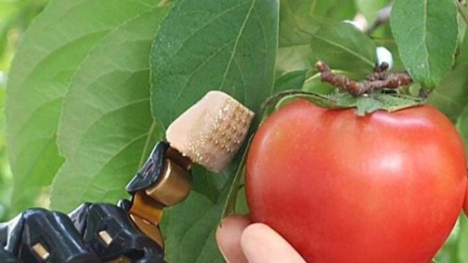 Bakkal amca, bakkal amca, yapay zeka var mı, robotun var mı, ten dokusu var mı, ne duruyorsun insan yapsana insan yapsana?