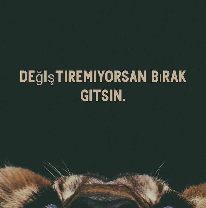 Değiştirmek için çabaladın mı?