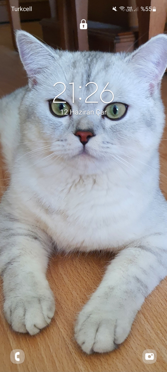 Kilit ekranım nasıl :D?