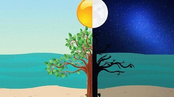 Gündüz insanı mısınız, gece insanı mı?