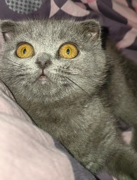 İnsan ilgi için uyandırılır mı🙄?