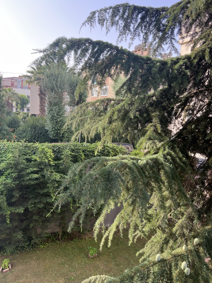 Herkese günaydınlar süper bir gün diliyorum , neler yapılacak bugün?