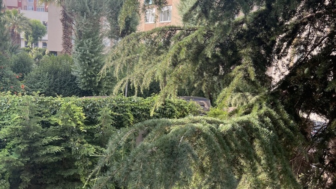 Herkese günaydınlar süper bir gün diliyorum , neler yapılacak bugün?