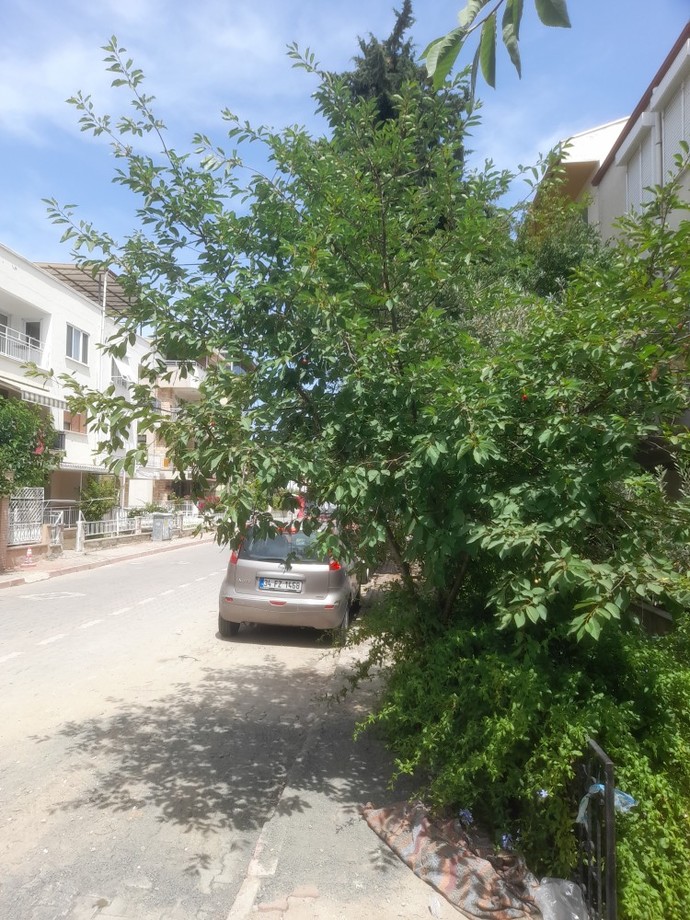 Şu an  saginizda ne var?
