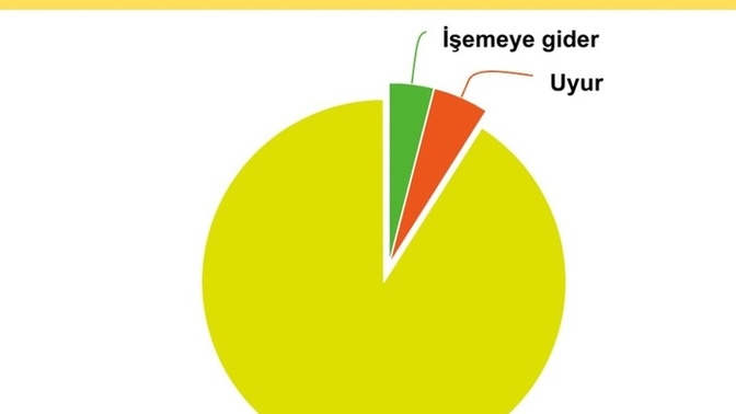 Türk erkekleri orgazm sonrası ne yapar?