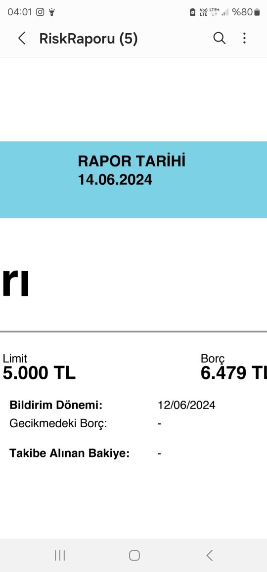 Findeks raporumda borcum fazla gözüküyor?