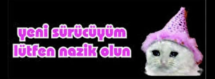 Arabanızın arkasına bir söz yazdıracak olsanız bu ne olurdu?