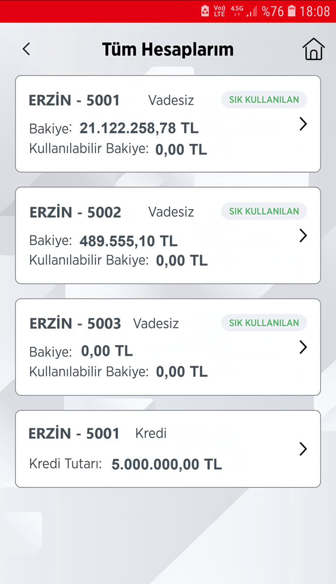 Böyle bir hesabınız olsa ilk neye yatırım yapardınız?