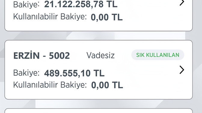 Böyle bir hesabınız olsa ilk neye yatırım yapardınız?