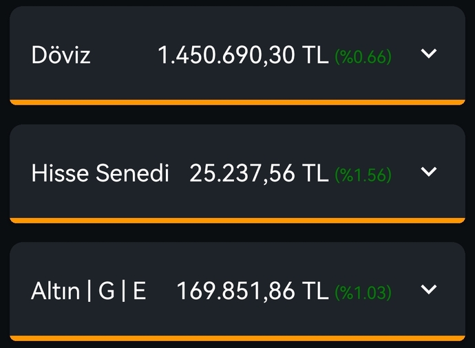 Portföyünüzde ağırlıklı olarak hangi yatırım ürünü var?