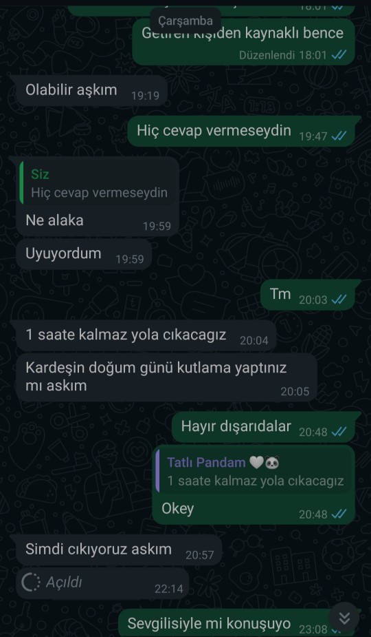 Sevgilimle 3 günlük mesajlarım bu şekilde şunu da belirteyim 1 haftadır aramıyo amcam dayım geldi diyip o yüzden soğuk davrandım?