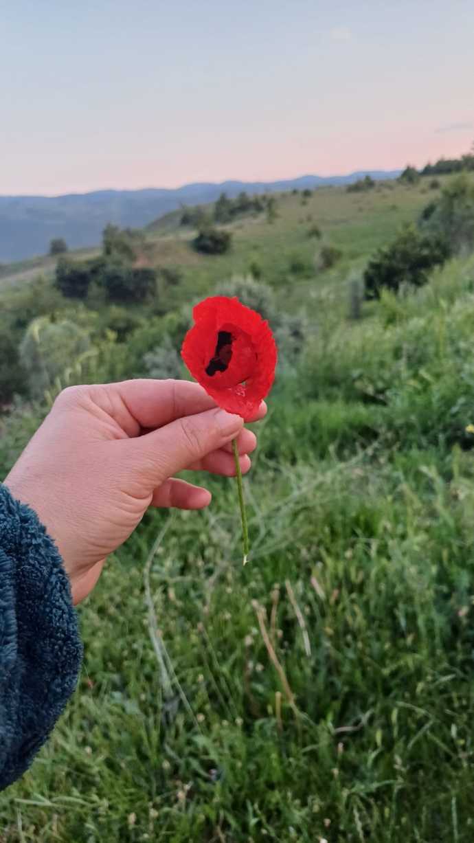 Bayramı memlekette geçirmekte lükse mi giriyor artık?