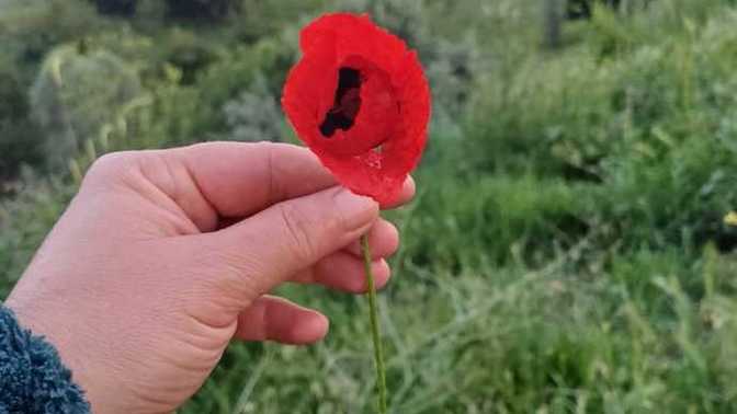 Bayramı memlekette geçirmekte lükse mi giriyor artık?