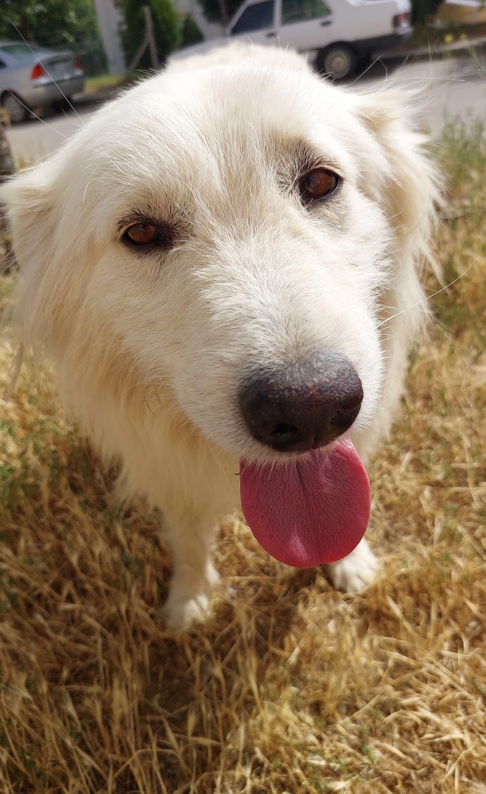 Bebeğim pamuğum 😍
