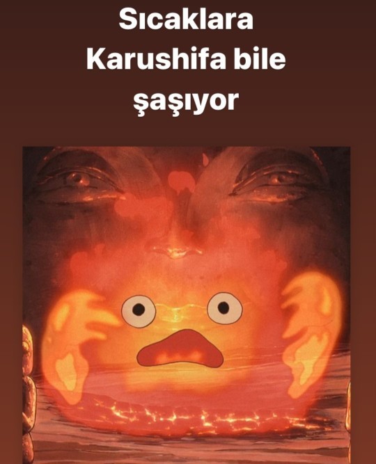 Sıcaklardan kaçmak için hangi ülkeye gitmek isterdiniz?