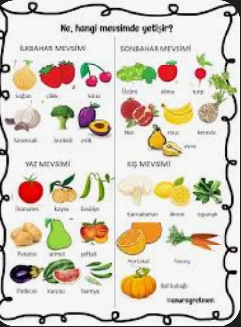 Hangi meyve ve sebzeler hangi mevsimlerde tüketilmelidir?