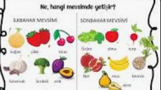 Hangi meyve ve sebzeler hangi mevsimlerde tüketilmelidir?