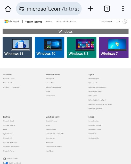 Laptopumun kurulumunu kendim yapacağım, Windows ISO 11 mi 10 mu indireyim?