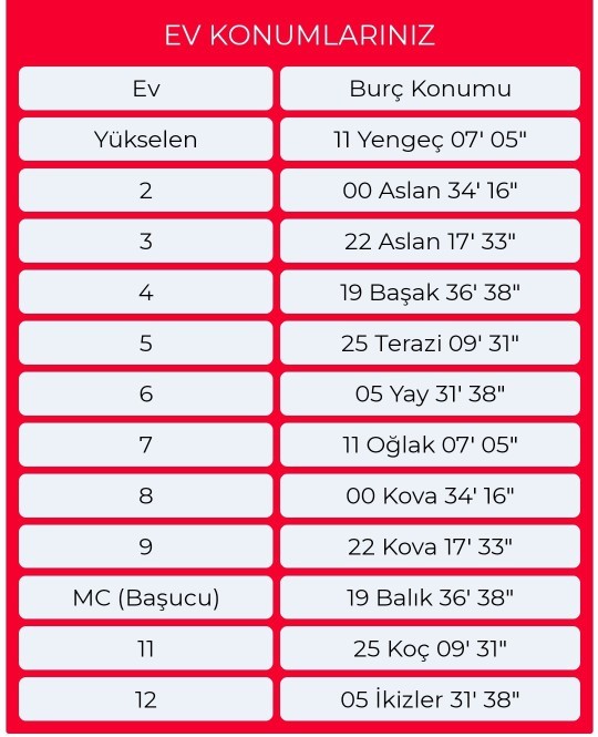 Bu doğum haritasından anlayan var mı?